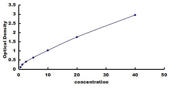 Rat LOX ELISA Kit (Colorimetric) ELISA: Rat LOX ELISA Kit (Colorimetric) [NBP3-42913]