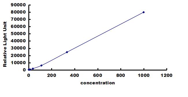 Porcine HIF-1 alpha ELISA Kit (Chemiluminescence) ELISA: Porcine HIF-1 alpha ELISA Kit (Chemiluminescence) [NBP3-42915]