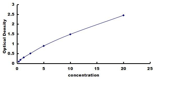 Human KRAS ELISA Kit (Colorimetric) ELISA: Human KRAS ELISA Kit (Colorimetric) [NBP3-43191]