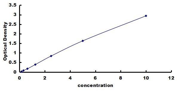 Human Neuroplastin ELISA Kit (Colorimetric) ELISA: Human Neuroplastin ELISA Kit (Colorimetric) [NBP3-43206]