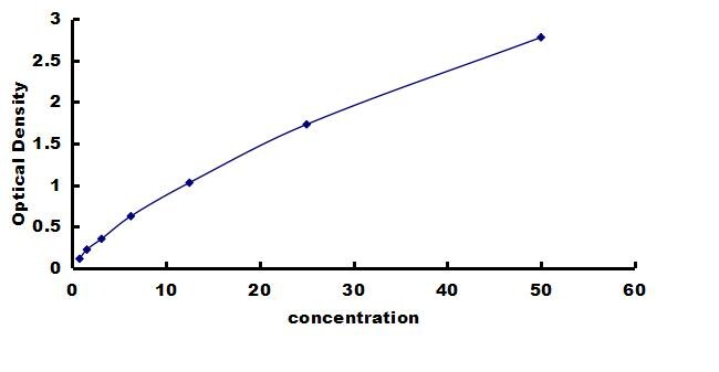 Human NT2NL ELISA Kit (Colorimetric) ELISA: Human NT2NL ELISA Kit (Colorimetric) [NBP3-43210]
