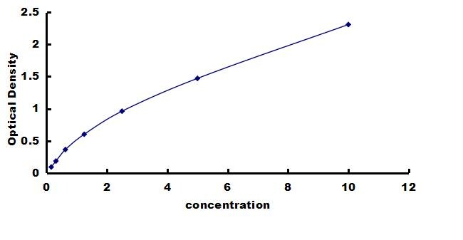 Human p63/TP73L ELISA Kit (Colorimetric) ELISA: Human p63/TP73L ELISA Kit (Colorimetric) [NBP3-43212]