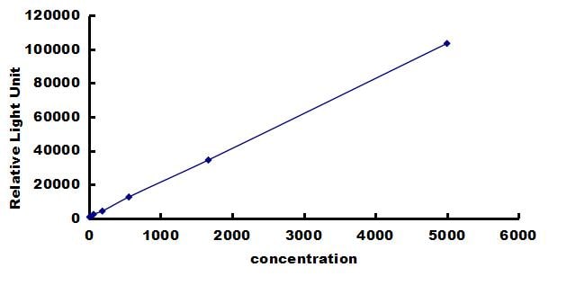 Human Wnt-7a ELISA Kit (Chemiluminescence) ELISA: Human Wnt-7a ELISA Kit (Chemiluminescence) [NBP3-43225]