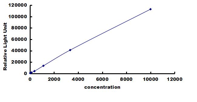 Porcine TGF-beta 1 ELISA Kit (Chemiluminescence) ELISA: Porcine TGF-beta 1 ELISA Kit (Chemiluminescence) [NBP3-43240]