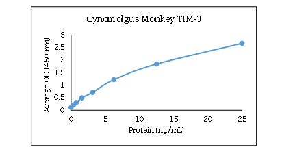 TIM-3 Antibody Pair [Biotin]