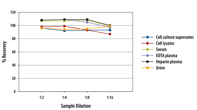 Human u-Plasminogen Activator (uPA)/Urokinase ELISA Linearity