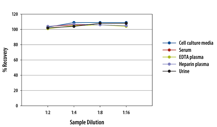 Human uPAR ELISA Linearity