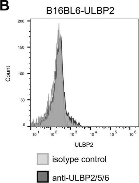 Detection of ULBP-2/5/6 by Flow Cytometry