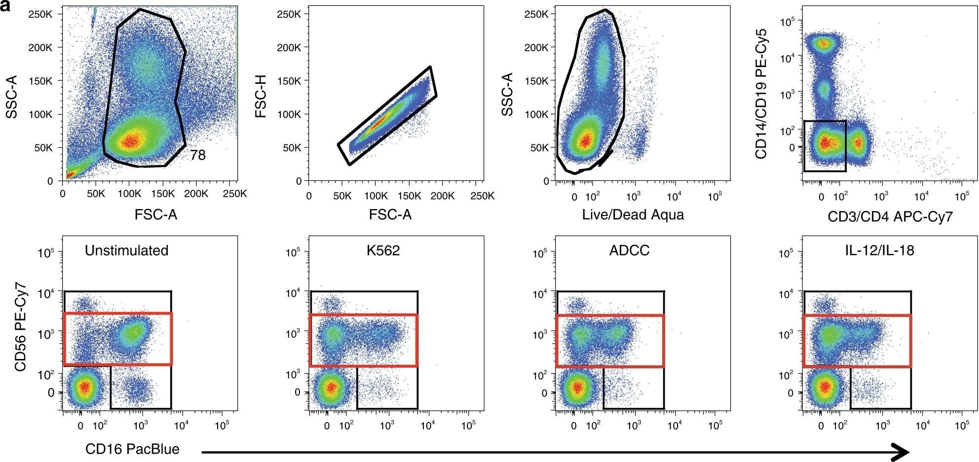 Detection of Human NKG2C/CD159c/KLRC2 by Flow Cytometry