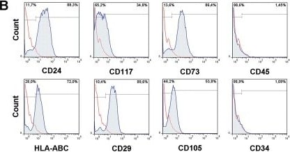 Detection of Human CD45 by Flow Cytometry