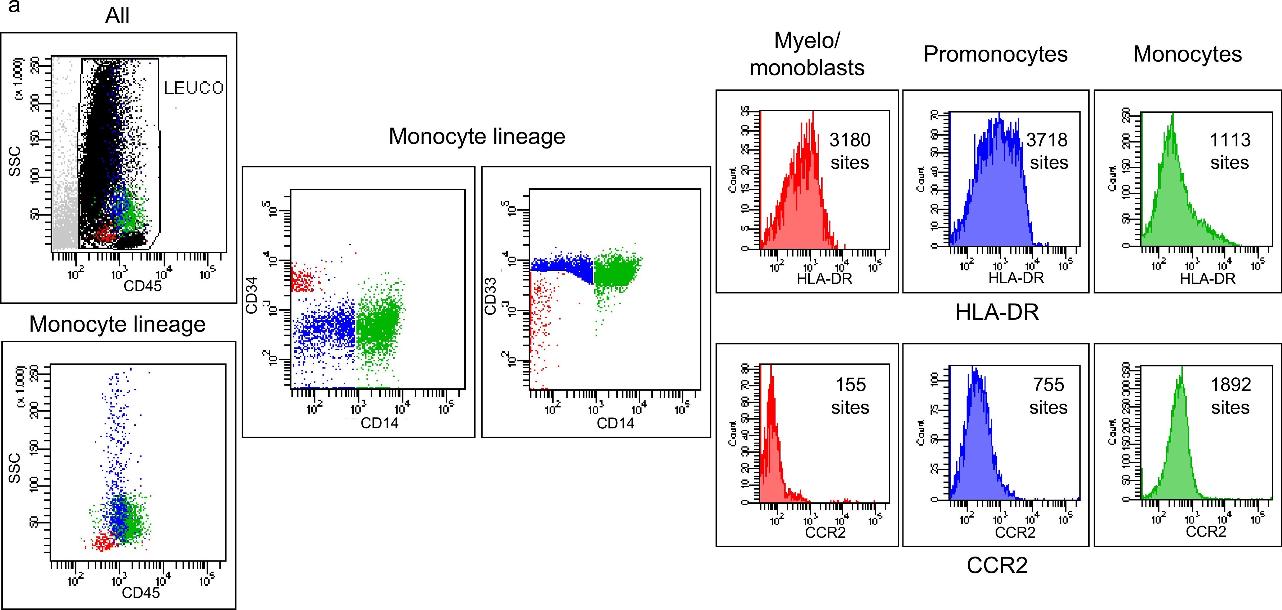 Detection of Human CCR2 by Flow Cytometry
