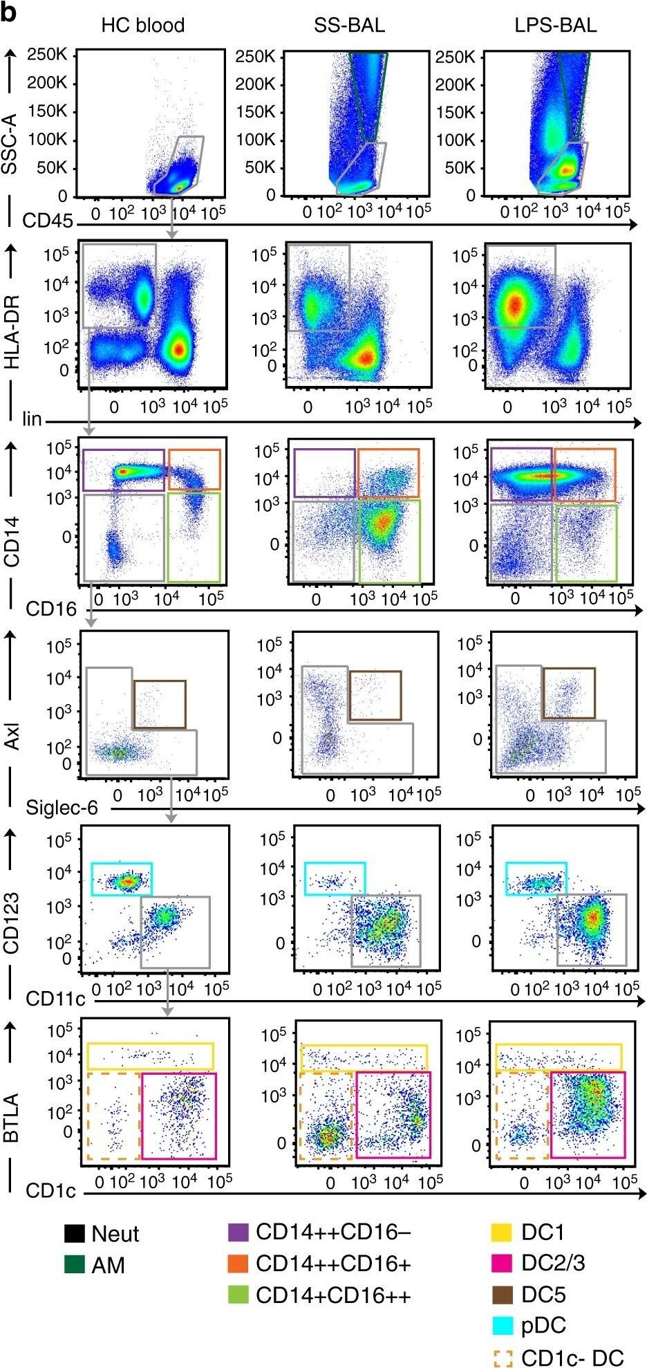 Detection of Human Axl by Flow Cytometry