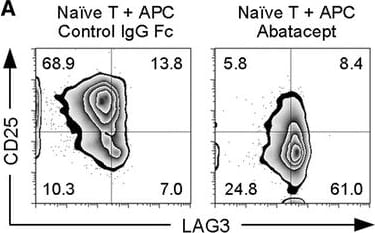 Detection of Human LAG-3 by Flow Cytometry