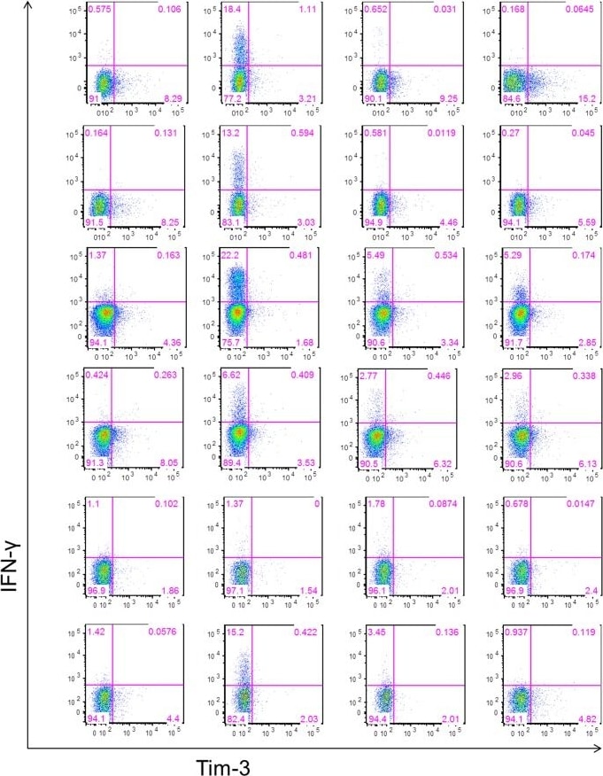 Detection of Human TIM-3 by Flow Cytometry