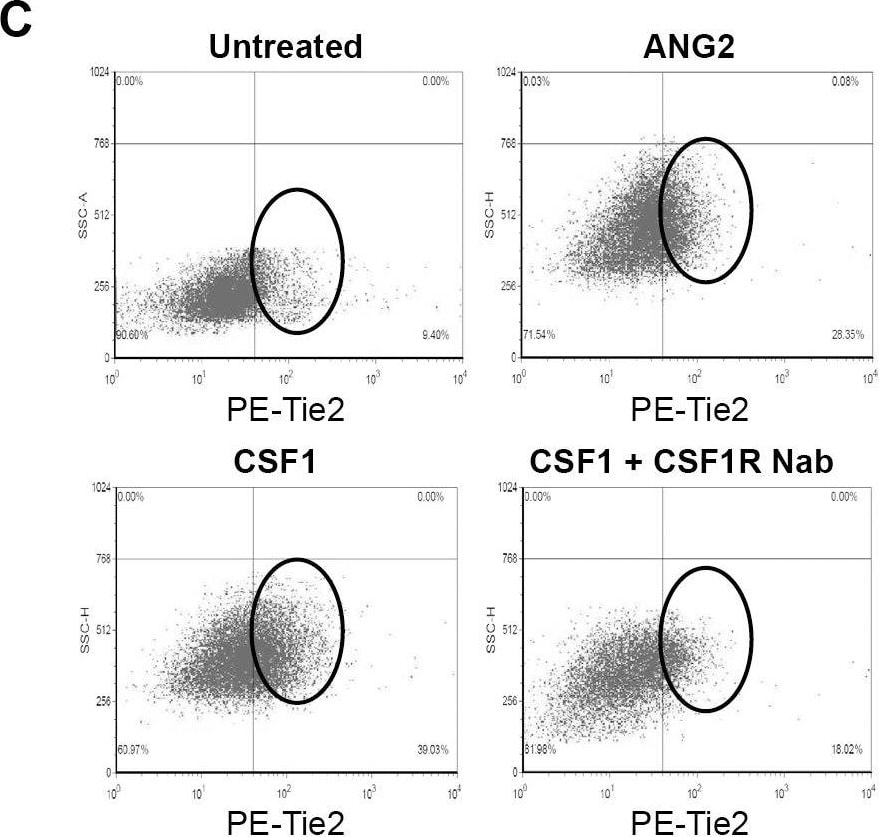 Detection of Mouse Human Tie-2 PE-conjugated Antibody by Flow Cytometry