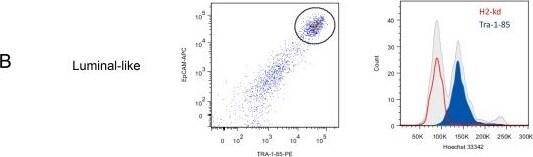 Detection of Mouse TRA-1-85/CD147 by Flow Cytometry