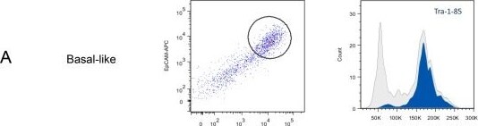 Detection of Mouse TRA-1-85/CD147 by Flow Cytometry