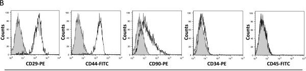 Detection of Canine CD34 by Flow Cytometry