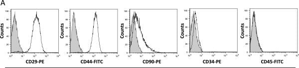 Detection of Canine CD34 by Flow Cytometry