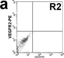Detection of Human VEGFR2/KDR/Flk-1 by Flow Cytometry