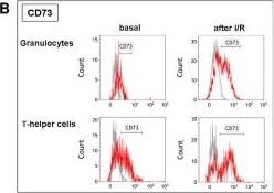 Detection of 5'-Nucleotidase/CD73 by Flow Cytometry