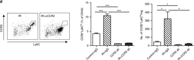 Detection of Mouse CCR2 by Flow Cytometry