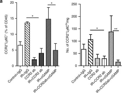 Detection of Mouse CCR2 by Flow Cytometry
