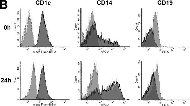 Detection of Human CD1c/BDCA‑1 by Flow Cytometry