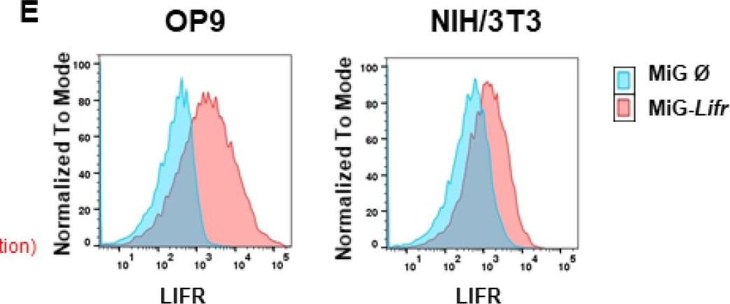 Detection of Mouse LIFR alpha by Flow Cytometry