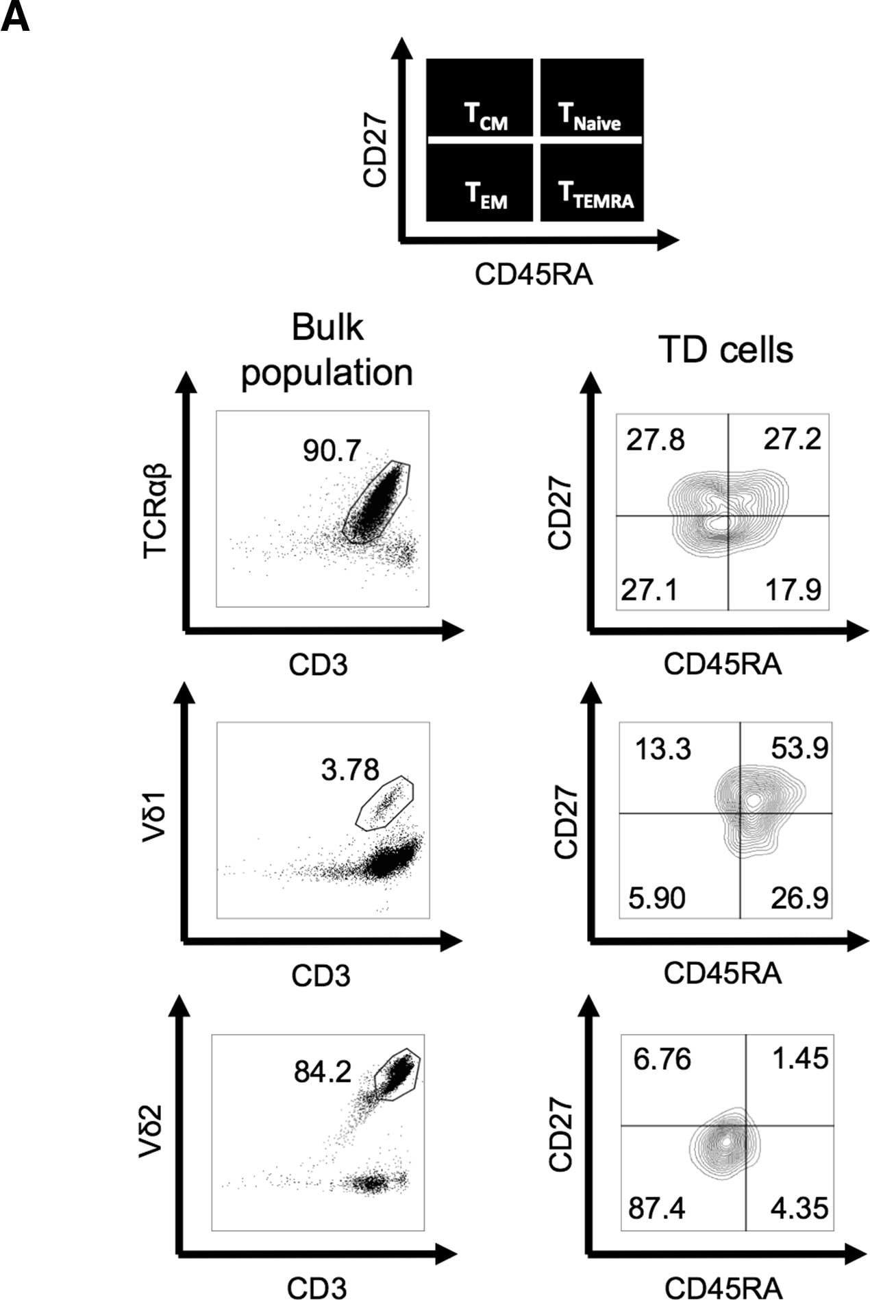 Detection of Human Human CD34 APC-conjugated Antibody by Flow Cytometry