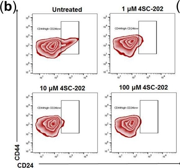 Detection of CD24 by Flow Cytometry