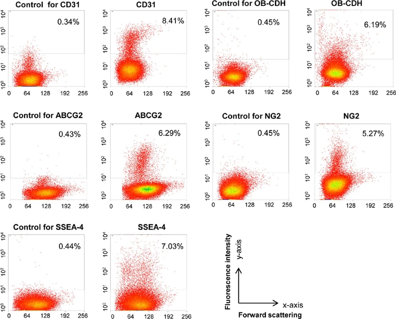 Detection of Porcine ABCG2 by Flow Cytometry