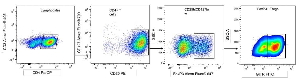 A: forward scatter, side scatter gating of human peripheral blood mononuclear cells by flow cytometry B: Gating of CD45+CD3- lymphocytes by flow cytometry following staining with R&D Systems antibodies C: Detection of CD19+ B cells by flow cytometry following staining of CD45+CD3- lymphocytes with R&D Systems PE-conjugated Anti-Human CD19 Antibody.
