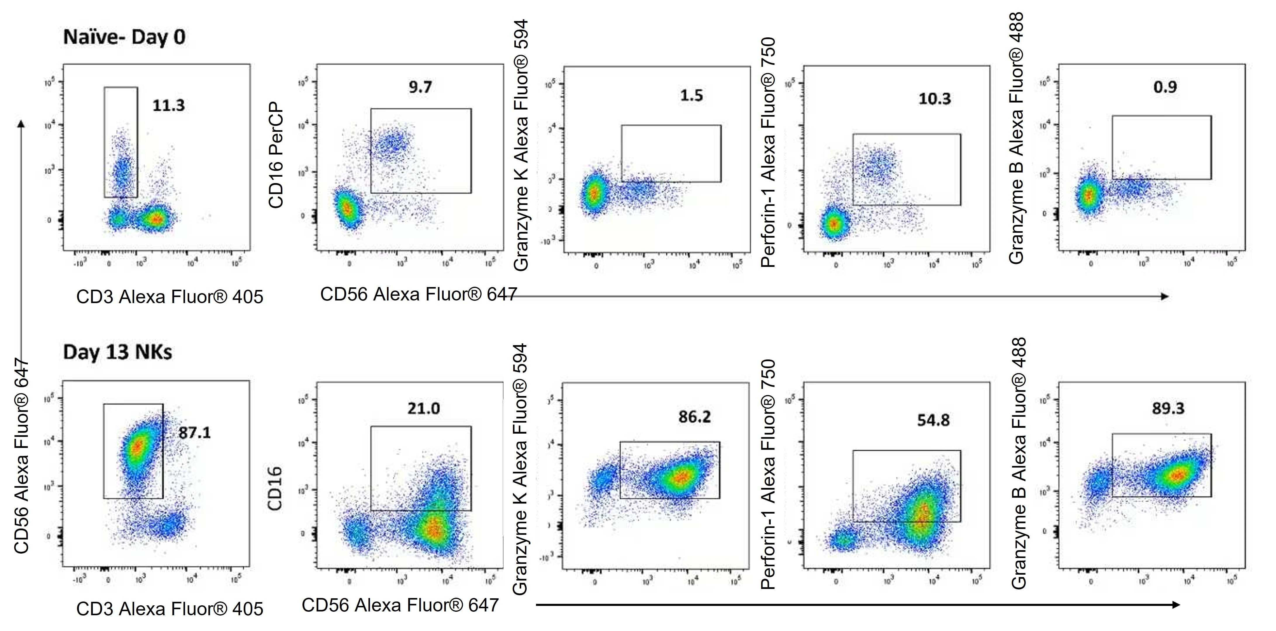 Human NK Cell Phenotype Panel Data