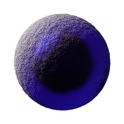 Follicular Helper T Cells