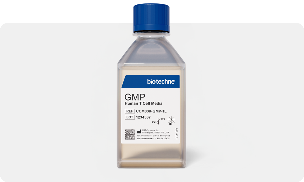 GMP Human T Cell Media