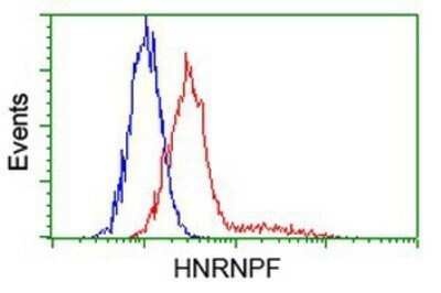 Flow Cytometry: hnRNP F Antibody (OTI5F5) - Azide and BSA Free [NBP2-70907]