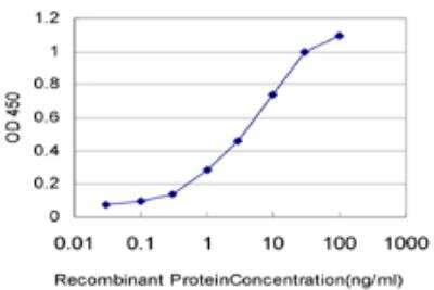 ELISA: hnRNP M Antibody (3F7) [H00004670-M03]