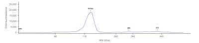 Simple Western: hnRNP U Antibody [NB100-2134]