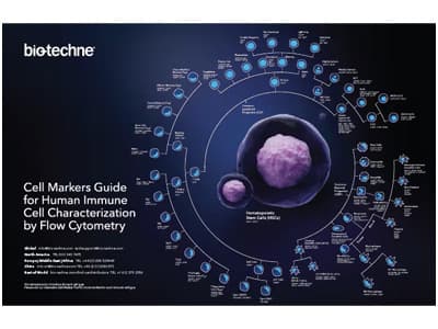 Human Immune Cell Markers Poster
