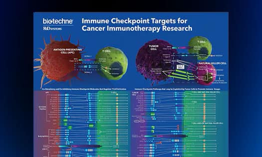 R&D Systems immune checkpoint targets for cancer immunotherapy poster