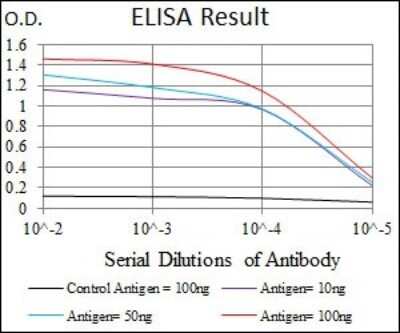 ELISA: iNOS Antibody (4E5) - Azide and BSA Free [NBP2-80814]