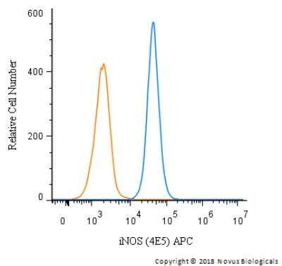 Flow Cytometry: iNOS Antibody (4E5) - Azide and BSA Free [NBP2-80814]