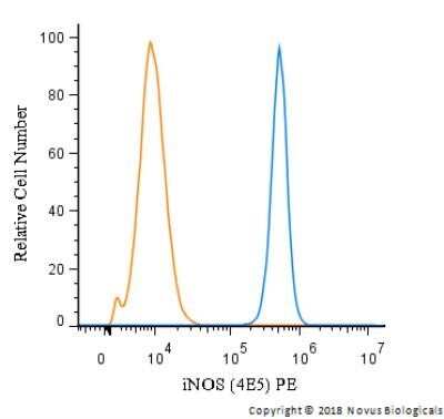 Flow Cytometry: iNOS Antibody (4E5) - Azide and BSA Free [NBP2-80814]