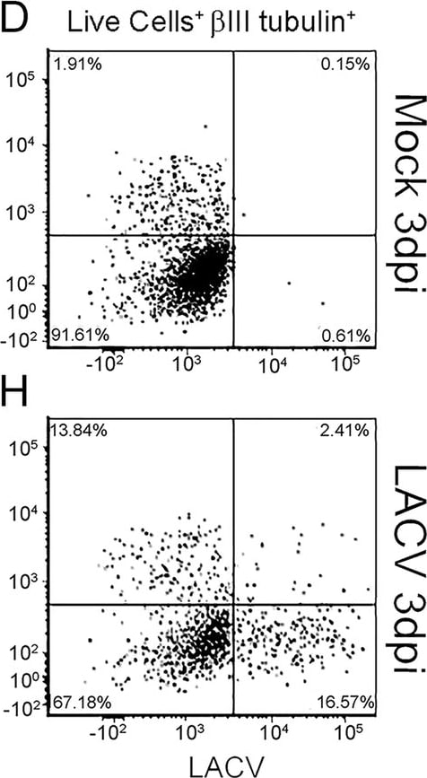 Detection of Human beta-III Tubulin by Flow Cytometry