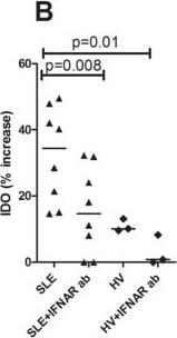 Detection of Human Indoleamine 2,3-dioxygenase/IDO by Flow Cytometry