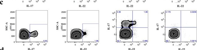 Detection of Human IL-22 by Flow Cytometry