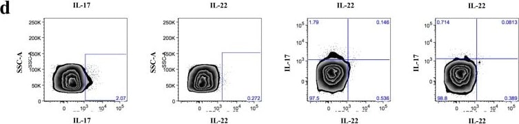 Detection of Human IL-22 by Flow Cytometry