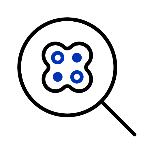 Detection Antibodies
