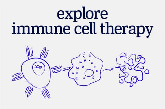 icon illustration for immune cell therapy